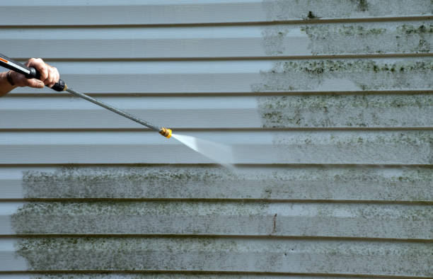 Professional Pressure Washing in Walnut, IL